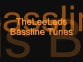 Theleelads bassline tunes what am i nicheorgan