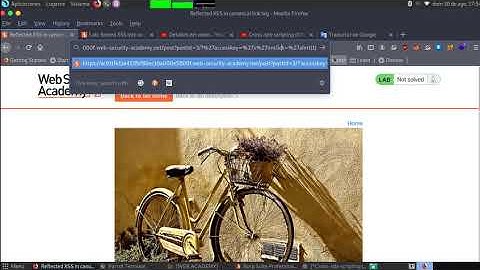 Reflected XSS in canonical link tag