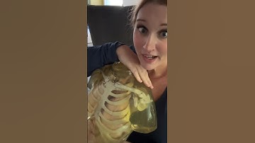 Unboxing the first Female ballistic dummy lab dummy for YT! What should I shoot it with?!