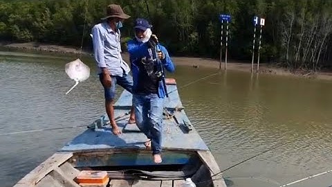 Về rừng sát cần giờ giao lưu với các cần thủ , lần đầu câu được cá đuối.quá phê..