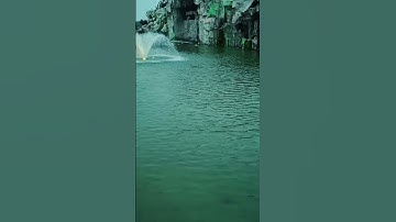 وَمَا خَلَقْنَا السَّمَاءَ وَالْأَرْضَ وَمَا بَيْنَهُمَا لَاعِبِينَ (16)سورة الأنبياء ياسر الدوسري