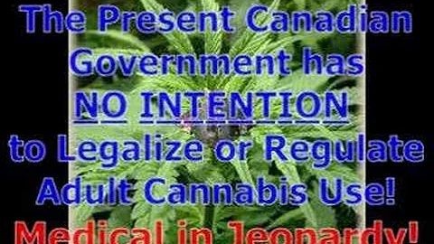 Willie Canada PSA NORML