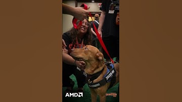 Quakecon 2025: Touch Grass with Dogs!
