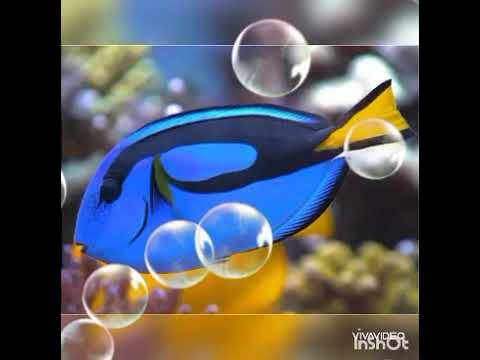 Кольоровий тиждень "День синього кольору" - YouTube