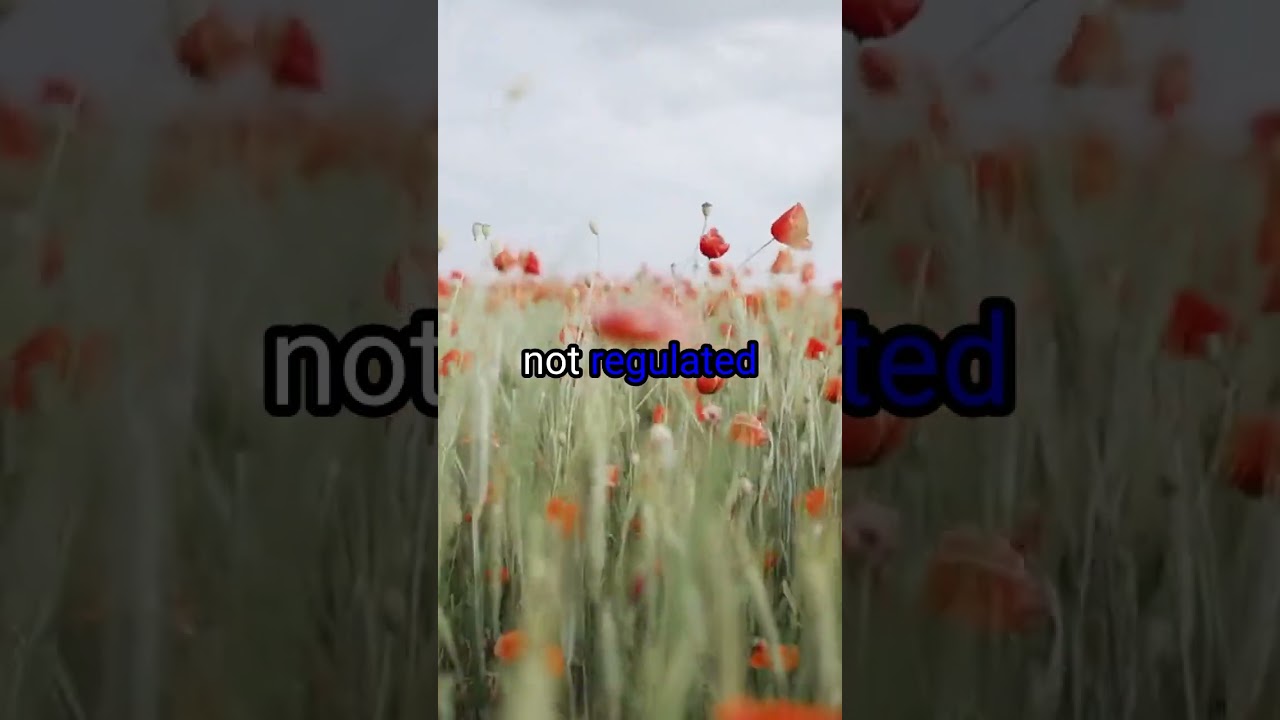 To Invest or Not to Invest in Cryptocurrency: Making Sense of the Volatile Market 