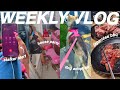 WEEKLY VLOG! THE CREEPY STALKER + PUPPY ADOPTION + HOUSE PARTY W/ FRIENDS + JAPANESE BBQ DINNER DATE