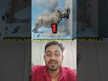 Animal Power 💪💪💫💫 | which animal very Powerful 💪🤩| #animal #animalfacts #ytshort #shortsfeed #facts