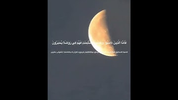 #عبدالرحمن_مسعد#سورة_الروم #راحة_النفسية 😭🥺⛈🤍