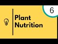 Plant Nutrition and photosynthesis - IGCSE Biology