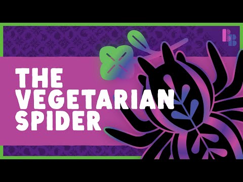 How One Spider Became (Mostly) Vegetarian