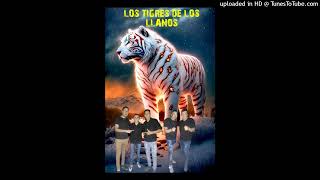 Video voorbeeld van "LOS TIGRES DE LOS LLANOS (enganchados retro en vivo)"