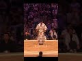 Aonishiki VS Shodai Sumo #sport #japan #сумо #япония #wwe #ufc #sumo #mma #борьба