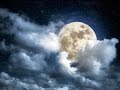 Ludwig van beethoven  moonlight sonata