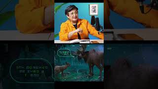 Inteligencia Artificial VS HUMANIDAD: ¿QUIÉN ES MÁS 'HUMANO' EN Wild Robot (2024)?