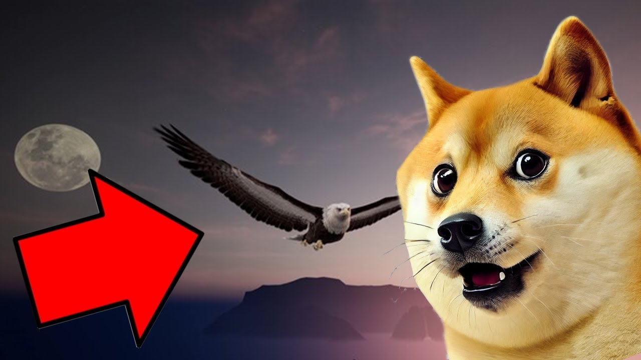 One Minute Reviews | The Matchless Kungfu