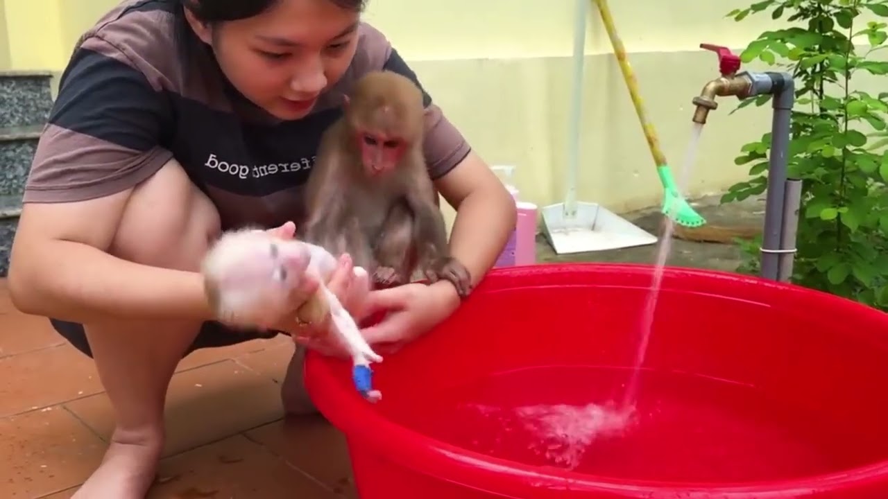 Bibi’s Special Care Will Lala Recover Soon