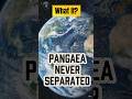 What If Pangaea Never Separated?