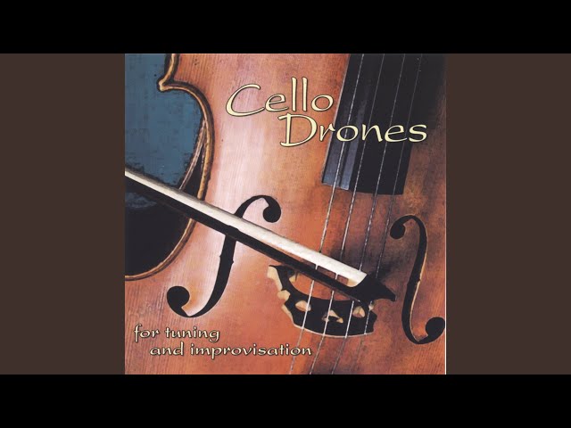 Cello Drone D class=