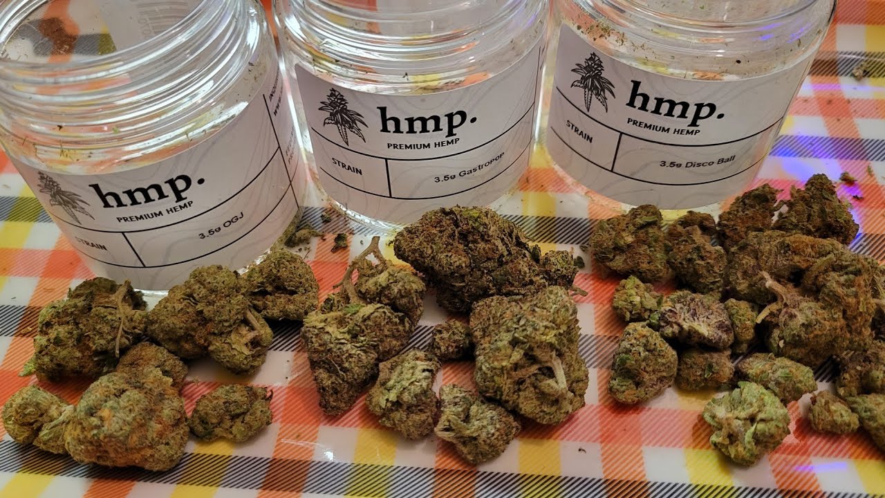 hmp THCa Flower Unboxing! Disco Glitter✨️, Gastro Pop⛽️ & Orange Juice Kush🍊!!