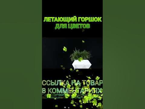 ЛЕТАЮЩИЙ ГОРШОК ДЛЯ ЦВЕТОВ - YouTube
