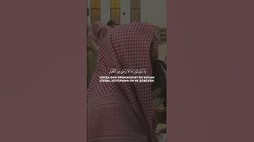 القرآن الكريم بصوت الشيخ محمد اللحيدان