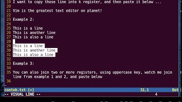 Vim Tutorial - Registers