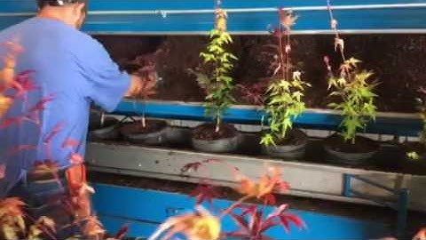 Inline potting Wurdinger manufacturing