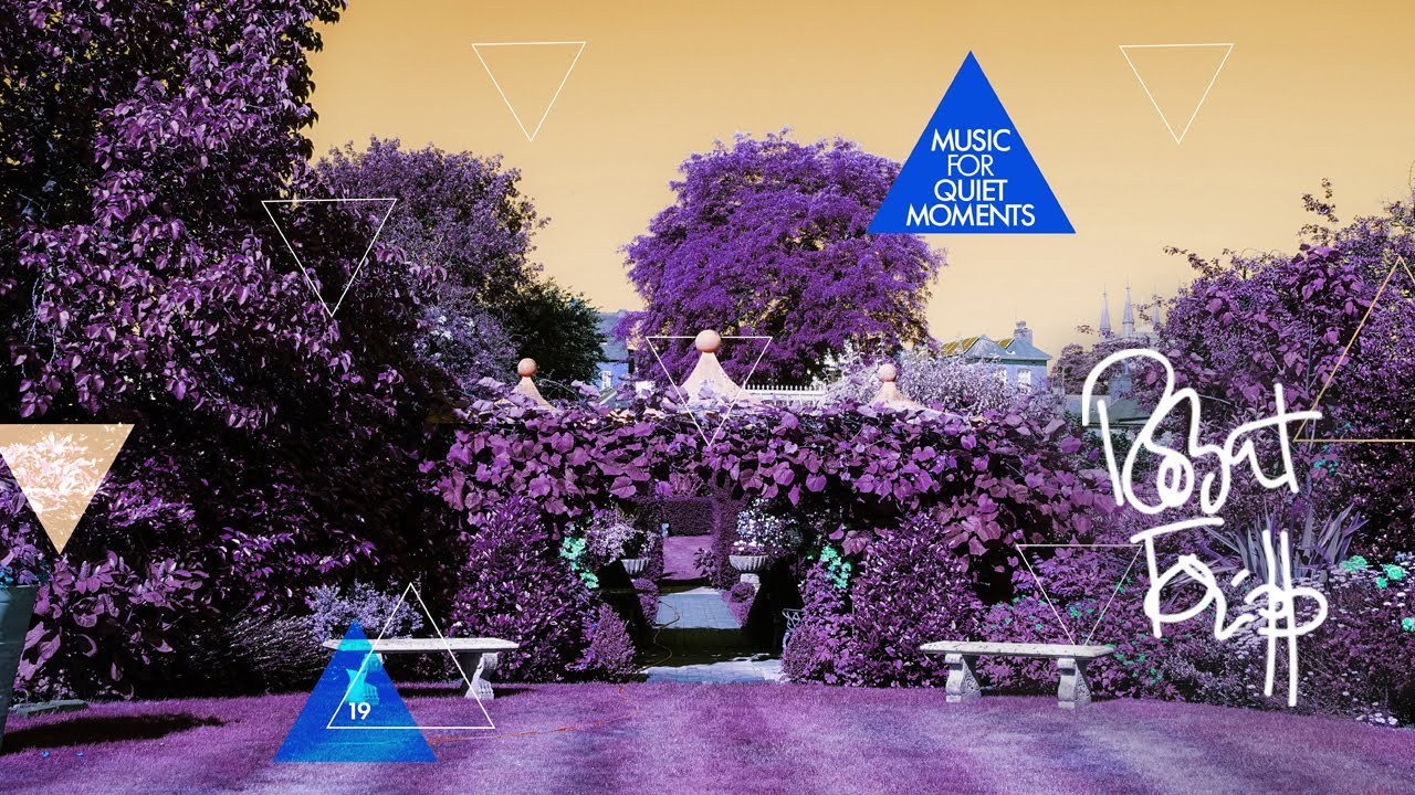 Robert Fripp's 'Music For Quiet Moments' content media