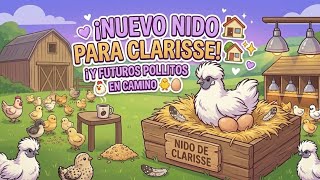 🛑LISTO el NIDO de CLARISSE 🤩 + me ganó con los huevos 😭 próximamente  MAS POLLITOS 😱