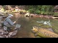 Pecanje na Staroj planini - Reka Temštica - Mušičarenje | Fly fishing