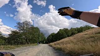 Beech Mountain: Burmese Python
