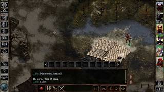 Icewind Dale EE Playthrough Part 84: Wylfdene Looks Into The Mirror