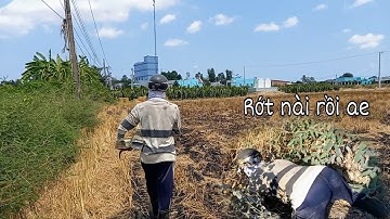 Cao thủ bẫy rắn mùa gió chướng rớt nài tổ đãi con rắn có tiền xăng | Cần gò Công