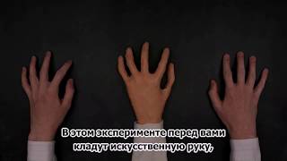 Are you a body with a mind or a mind with a body   Maryam Alimardani