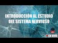 [DIRECTO] Introducción al estudio del sistema nervioso