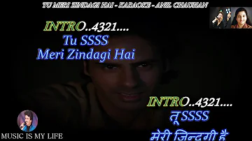 Tu Meri Zindagi Hai Karaoke With Scrolling Lyrics Eng  & हिंदी