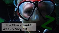 In the Shark Tank | Weekly Vlog 13 | Splodz Blogz