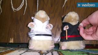 Gemmy Dancing Hamsters: Kung fu fighting