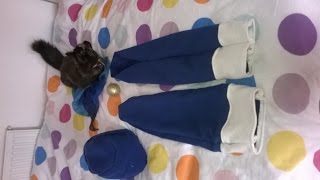 Juvia lockser cosplay (1st outfit) : Update 2 Juvia lockser cosplay (1st outfit) : Update 2