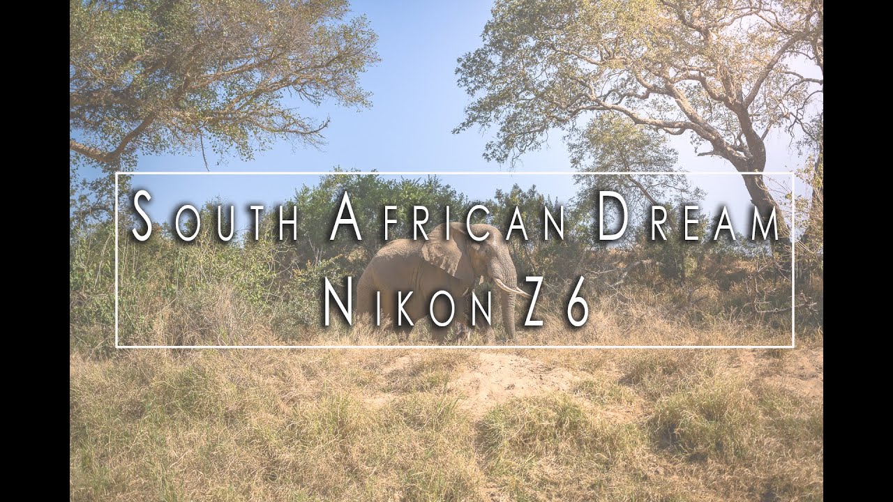 South African Dream | Nikon Z6 - YouTube