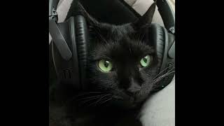 Sean Paul &amp; Klubbheads - Get Busy x Klubbslang (James Hype Remix)