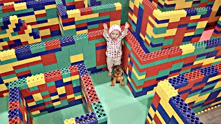 GIANT LEGO MAZE! Puppy vs Baby GIANT LEGO MAZE! Puppy vs Baby