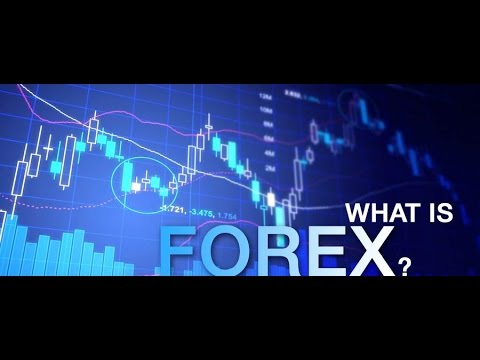 Основные участники рынка FOREX