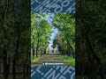 "Миколаївські парки" планують закупити преміальні косарки по ₴1,1 млн за штуку