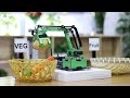 Jetmax ai robot arm fruit  veg sorting