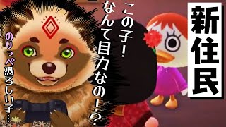 【あつまれどうぶつの森】まったり深夜のおともに　413匹との一期一会【詰草マカロル/狸Vtuber】