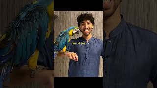 beautiful birds #pets #macaw#cockatoo #dogs #ringnecks#sun conure #lifeisbutadream