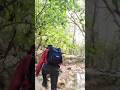 [ Margala Hills Trails 5 🌎 ] [ World Line Travel History ]