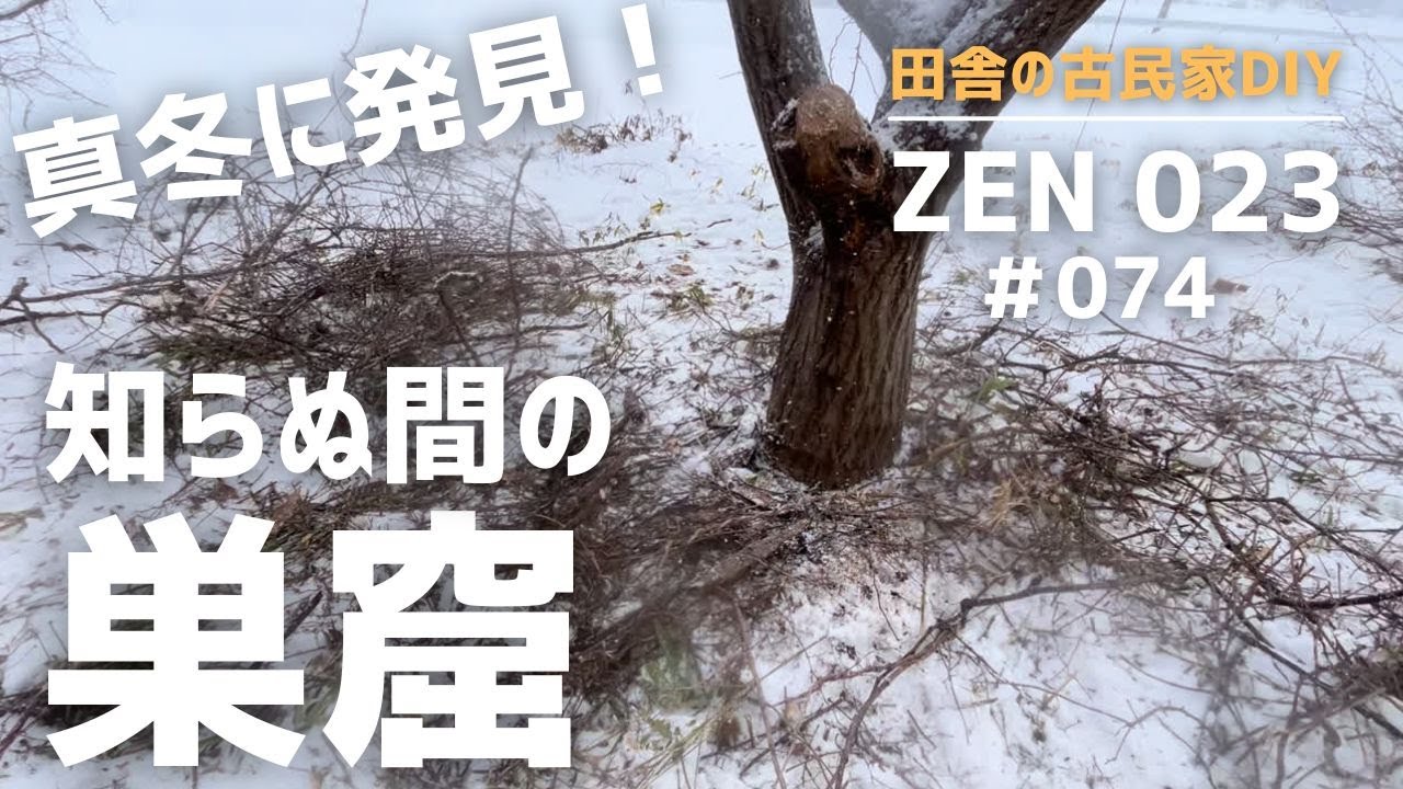 実家の開拓＆DIY】真冬の枯れ木はヤツらの巣窟。 - YouTube
