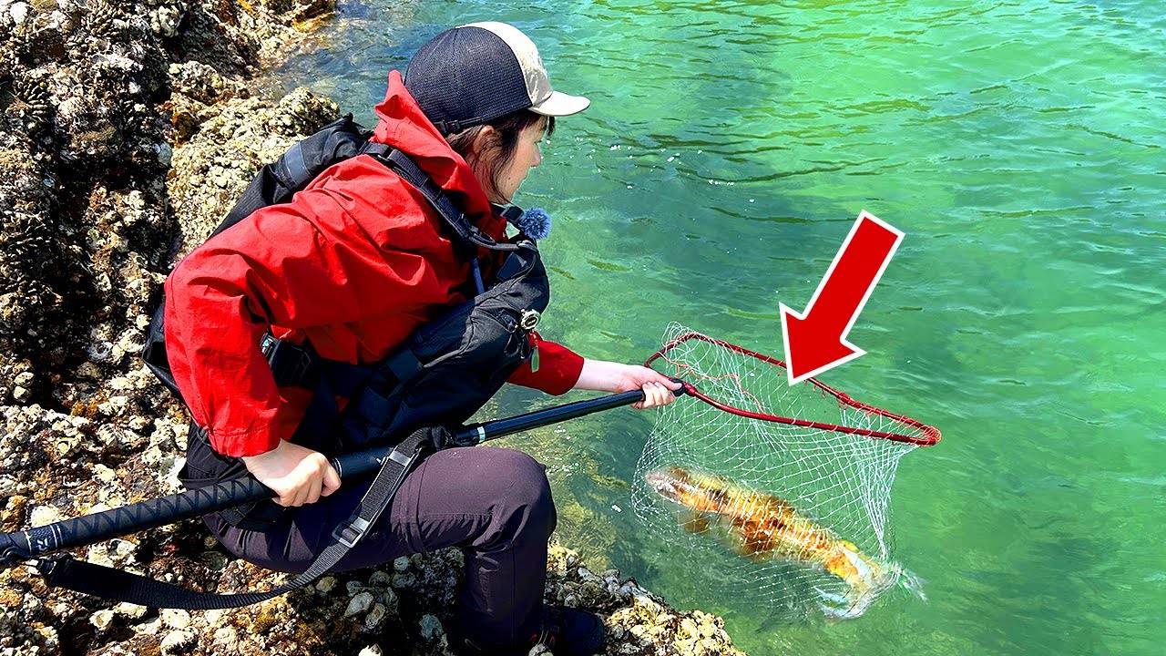 【驚愕】めちゃデカい、巨大イカを釣り上げました!!